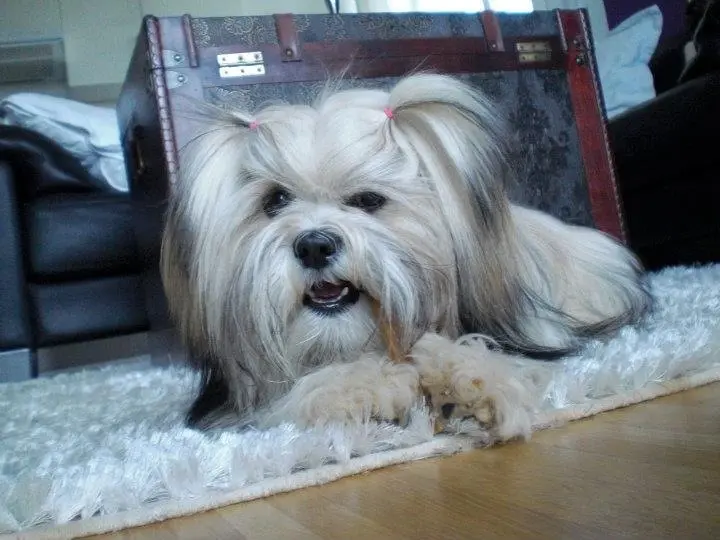 Condolence image of Stefanie 
