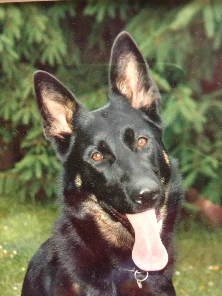 Condolence image of Margret