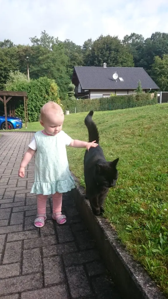 Image from Maxi