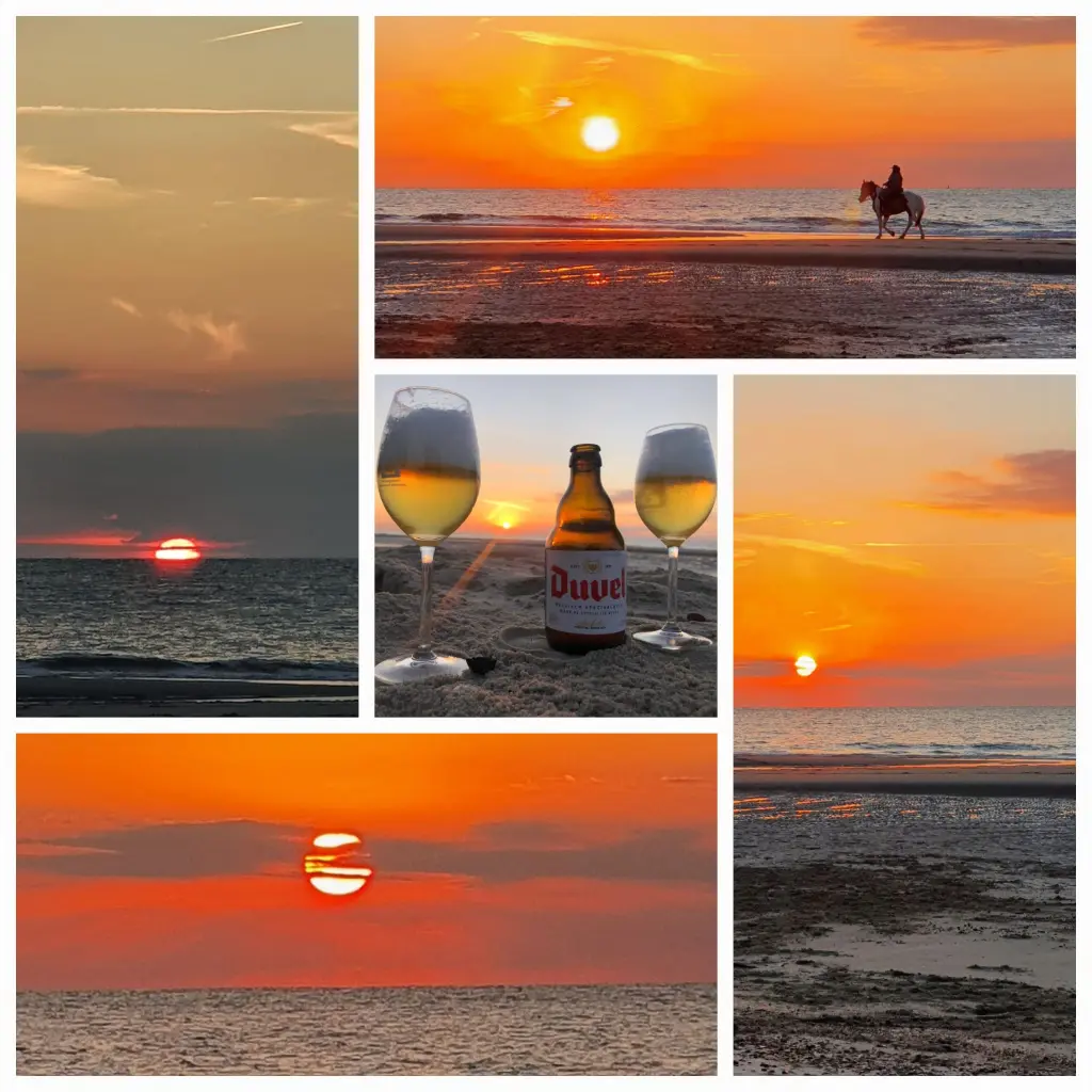Image from Maxi