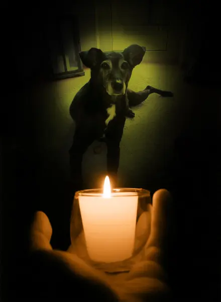 Condolence image of Unbekannt