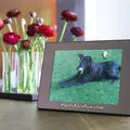 Condolence image of Unbekannt