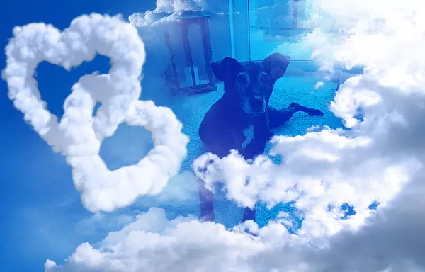 Condolence image of Unbekannt