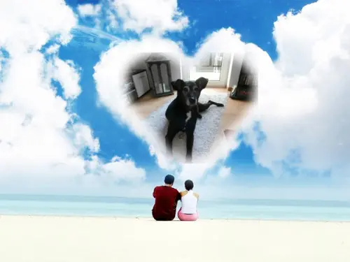 Condolence image of Unbekannt