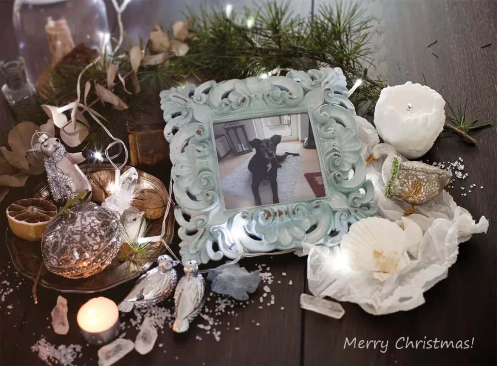 Condolence image of Unbekannt