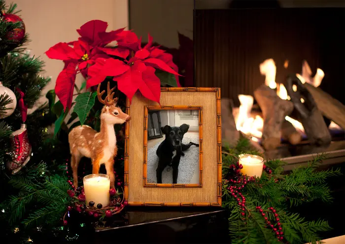 Condolence image of Unbekannt