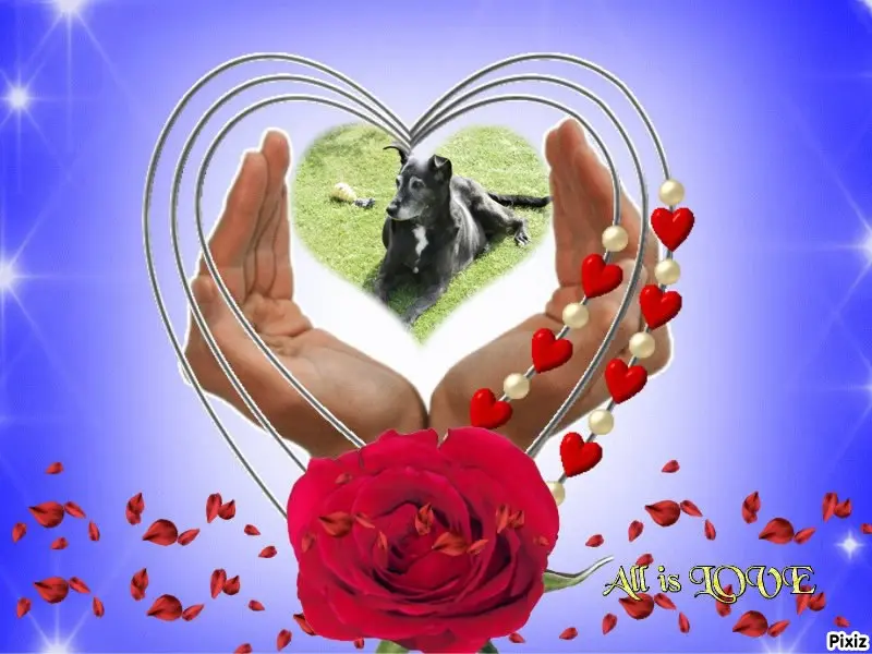 Condolence image of Unbekannt