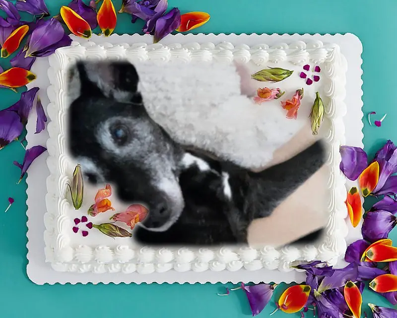 Condolence image of Dirk