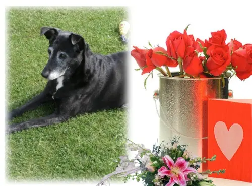 Condolence image of Unbekannt