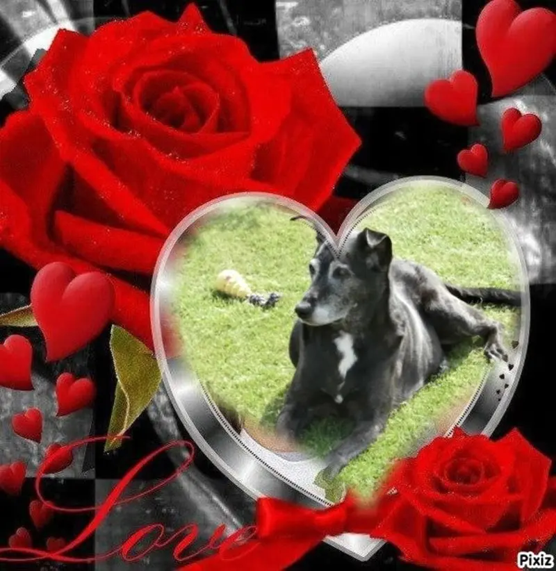 Condolence image of Unbekannt
