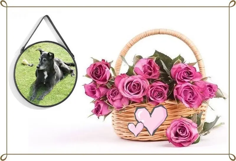 Condolence image of 4.Sternchen❤️Gedenktag❤️❤️❤️❤️