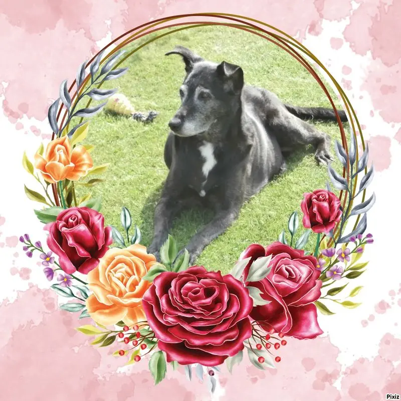 Condolence image of Unbekannt