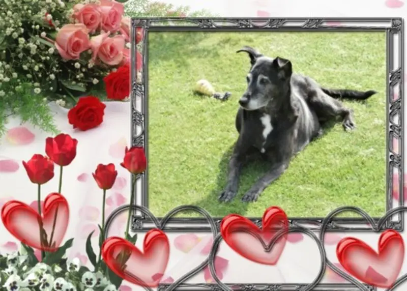 Condolence image of Unbekannt