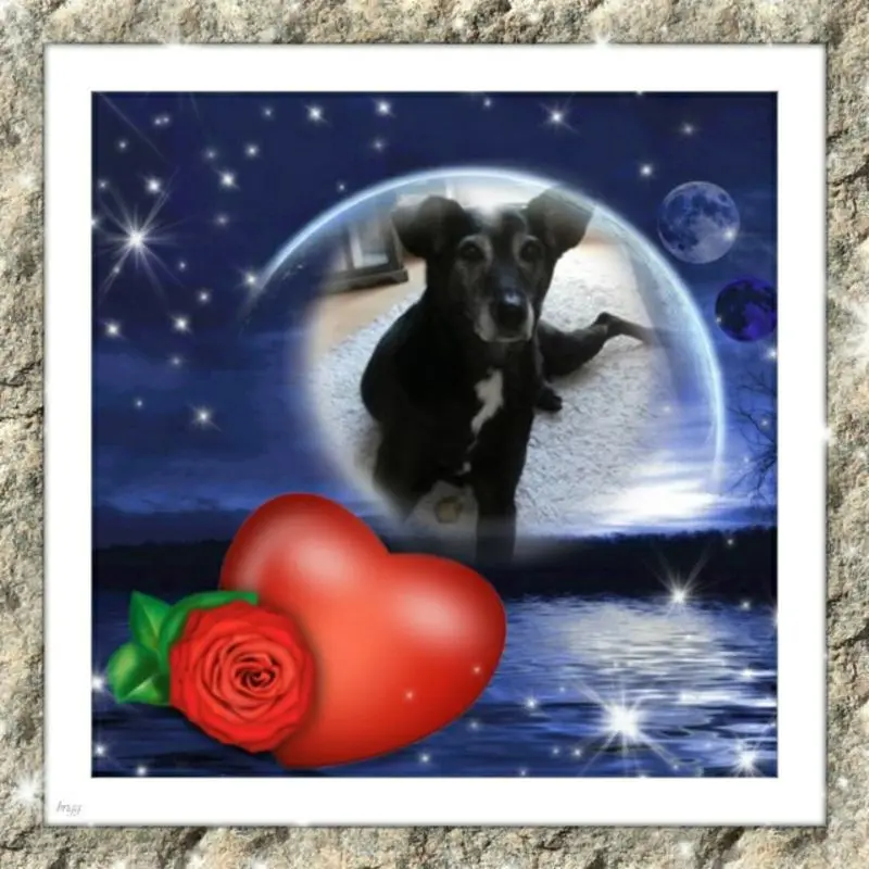 Condolence image of Gute Nacht❤️❤️❤️