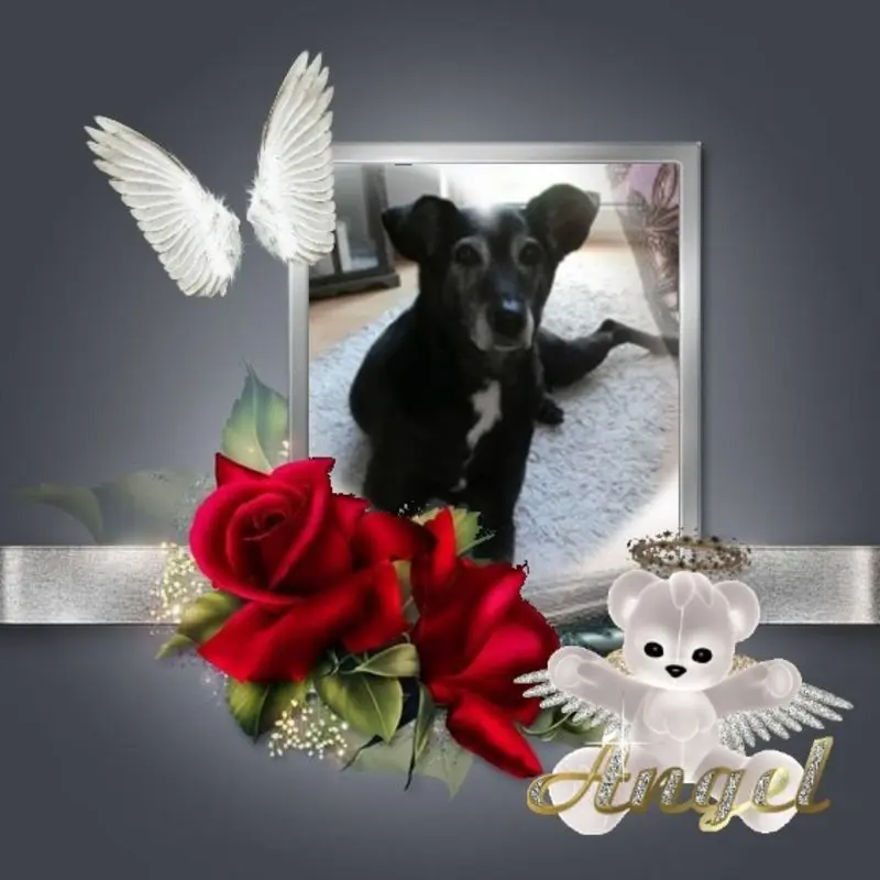 Condolence image of Guten Abend❤️❤️❤️