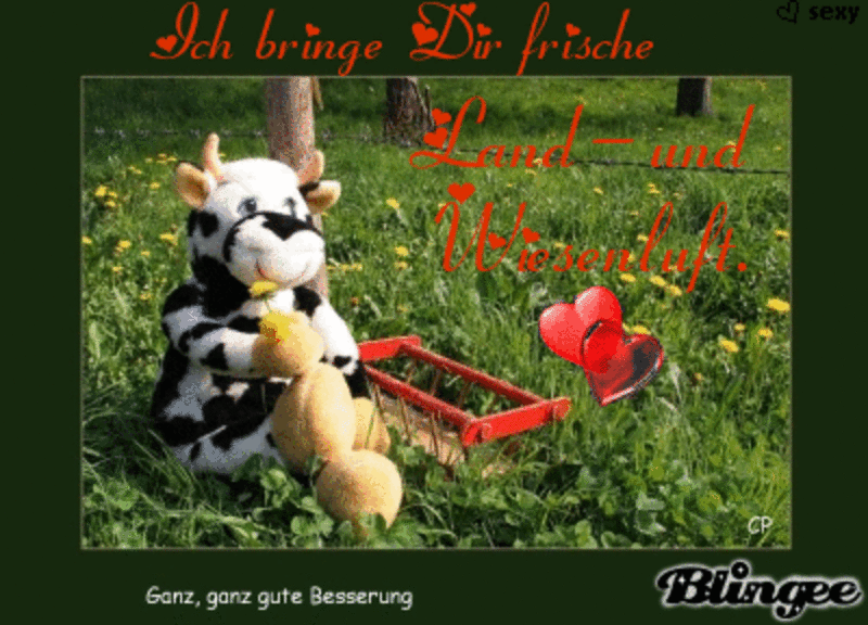 Condolence image of Brigitte mit Nelly, Benny und Axel im Herzen