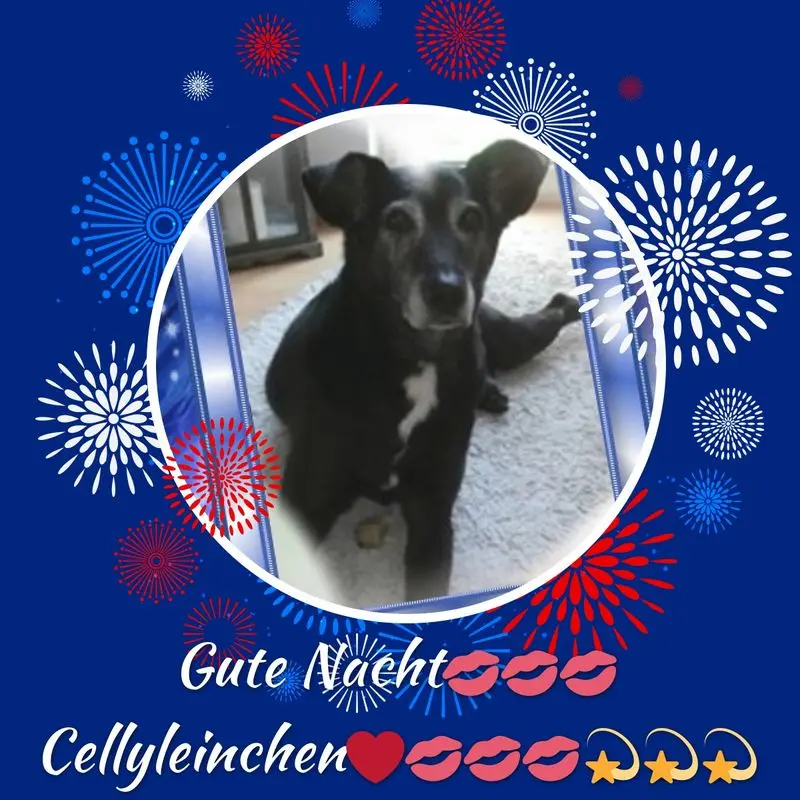 Condolence image of Gute Nacht❤️❤️❤️