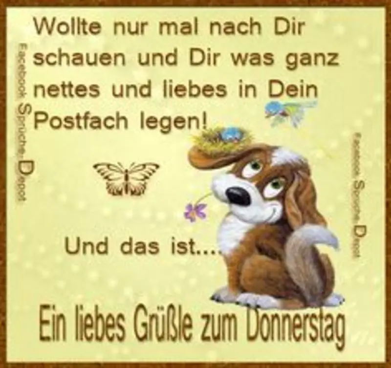 Condolence image of Brigitte mit Nelly, Benny und Axel im Herzen