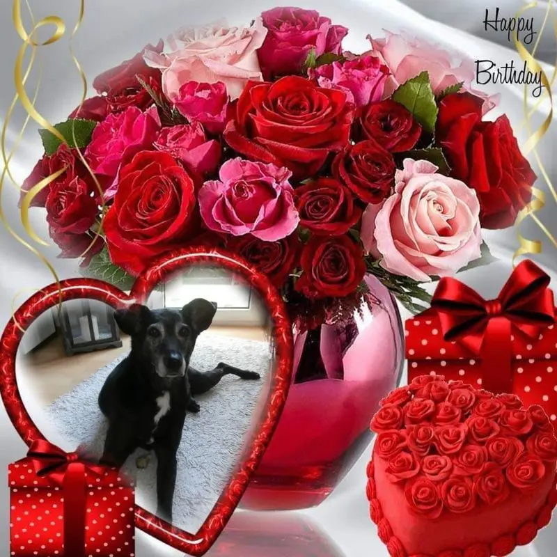 Condolence image of ❤️❤️❤️❤️❤️❤️❤️❤️❤️❤️❤️❤️❤️❤️