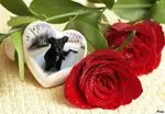 Condolence image of ❤️❤️❤️❤️❤️❤️❤️❤️❤️❤️❤️❤️❤️❤️