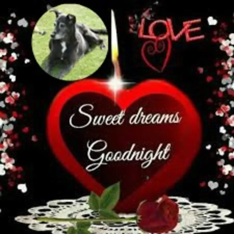 Condolence image of Gute Nacht❤️❤️❤️