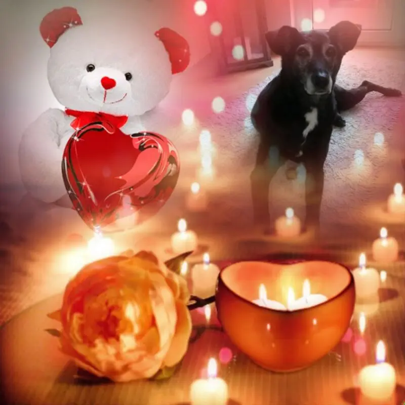 Condolence image of Gute Nacht❤️❤️❤️
