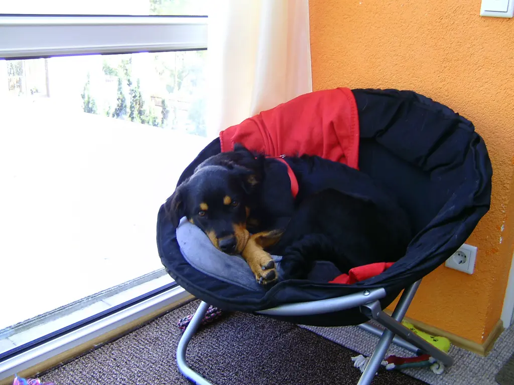 Andachtsbild von Unbekannt