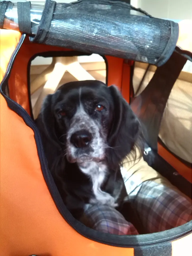 Image from Anja