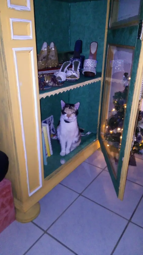 Condolence image of Claudia 