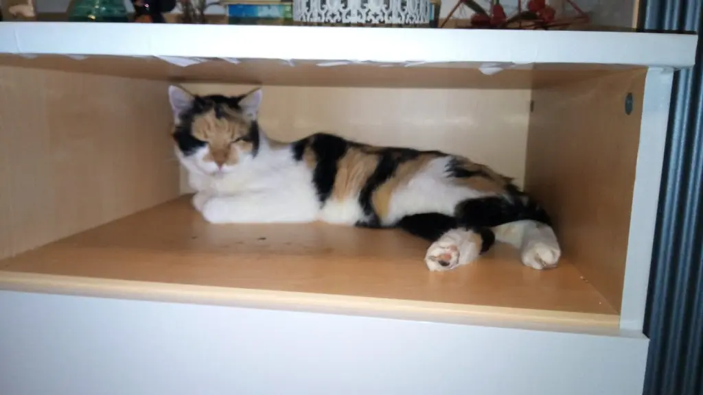 Condolence image of Claudia