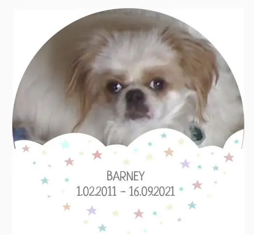 Condolence image of Conny