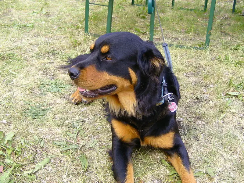 Condolence image of Angelika