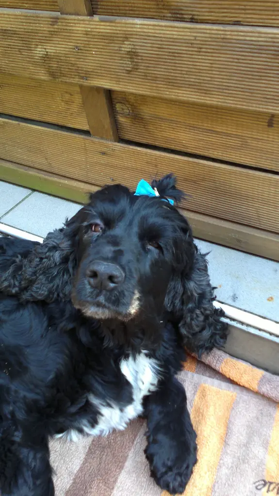 Image from Emmy