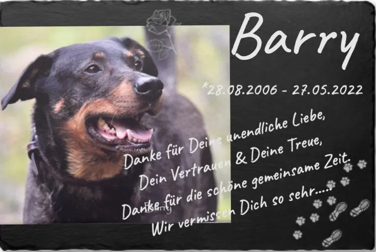 Image from Barry