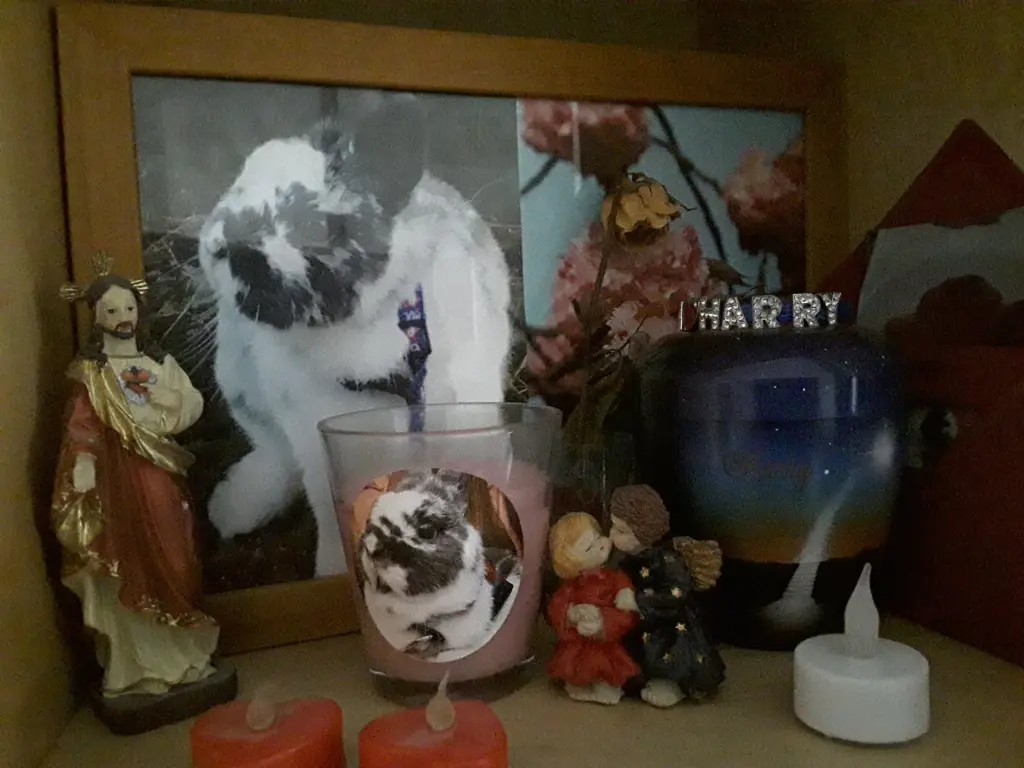 Condolence image of Martina und Phoebe