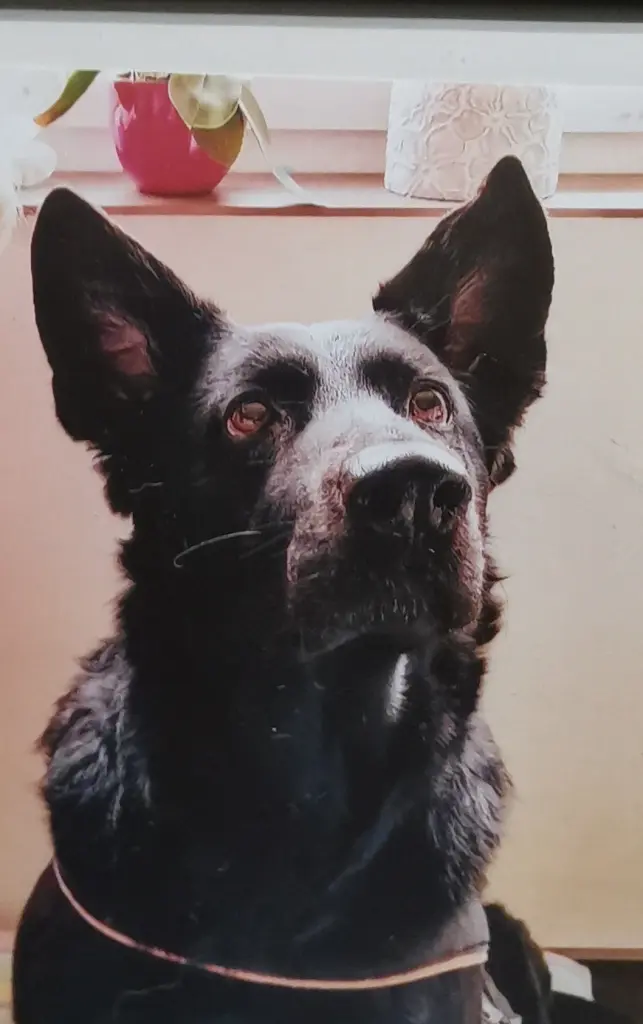 Condolence image of Barbara