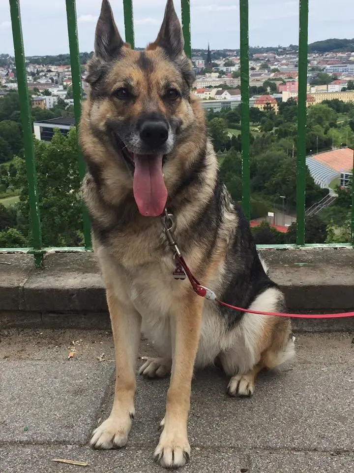 Andachtsbild von Kathrin mit Laila ❤