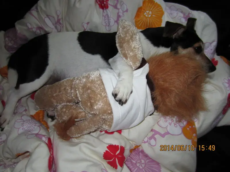 Condolence image of Ruth Claas