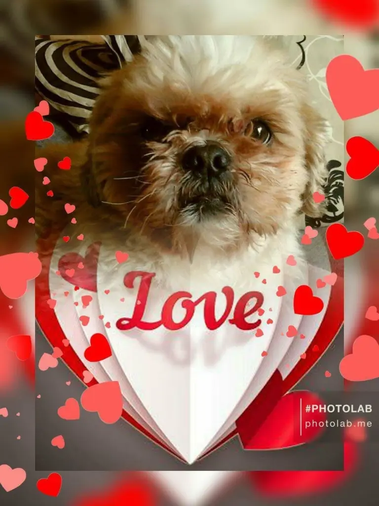 Image from Bobby