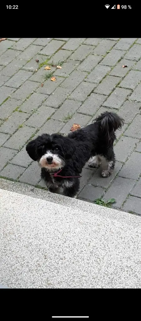 Condolence image of Anny