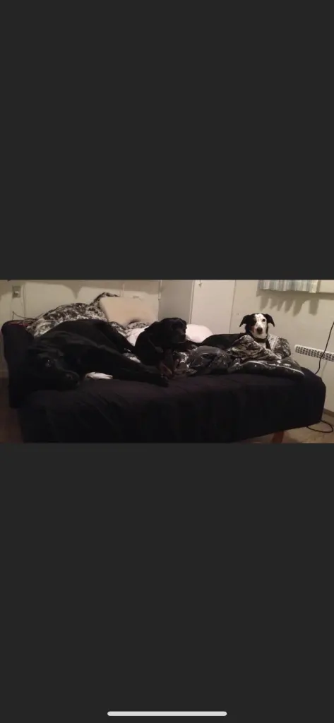 Andachtsbild von Antonia