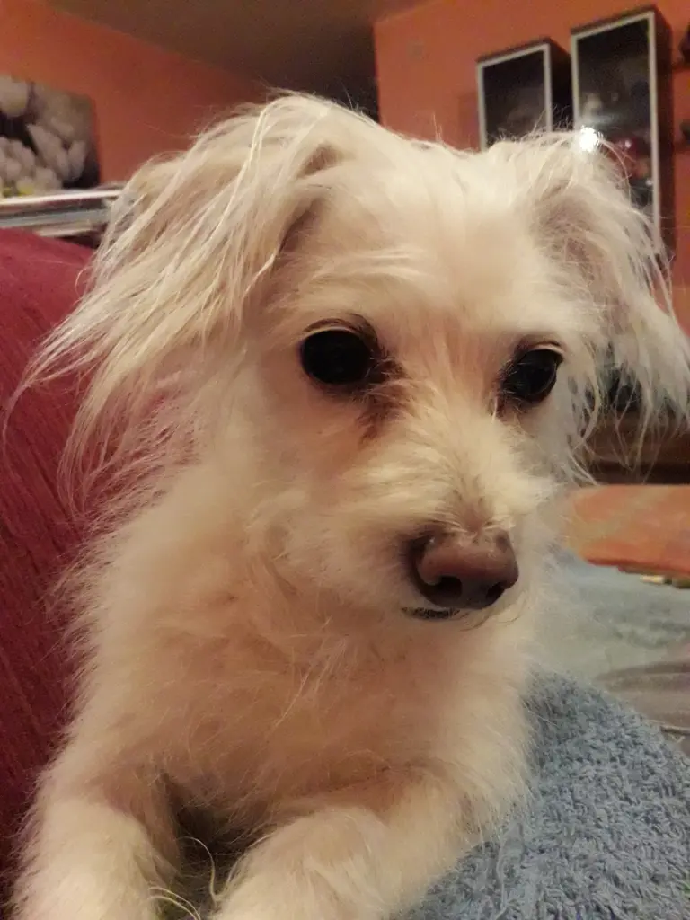 Condolence image of Sandra 