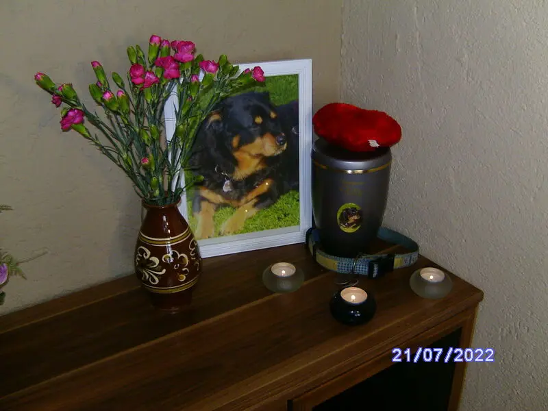 Condolence image of Angelika