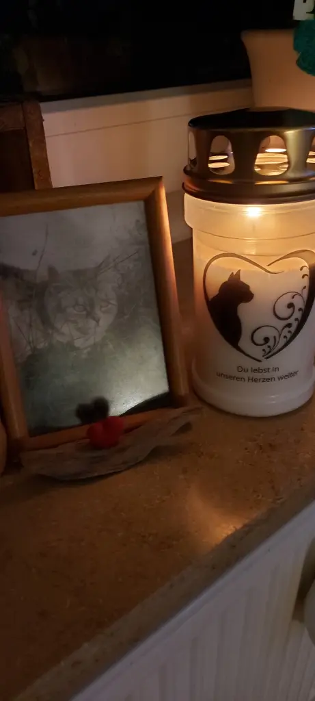 Condolence image of Silke mit Mia im Herzen