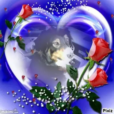 Condolence image of Tanja mit Timmy im Herzen