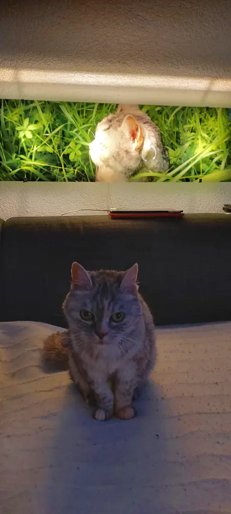 Condolence image of Silke mit Mia im Herzen♥️