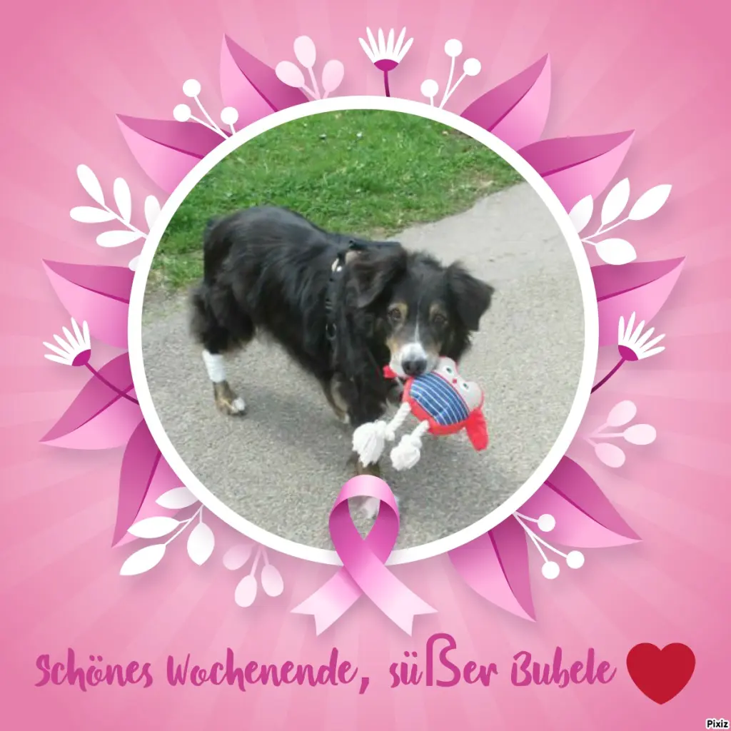 Condolence image of Tanja mit Timmy im Herzen