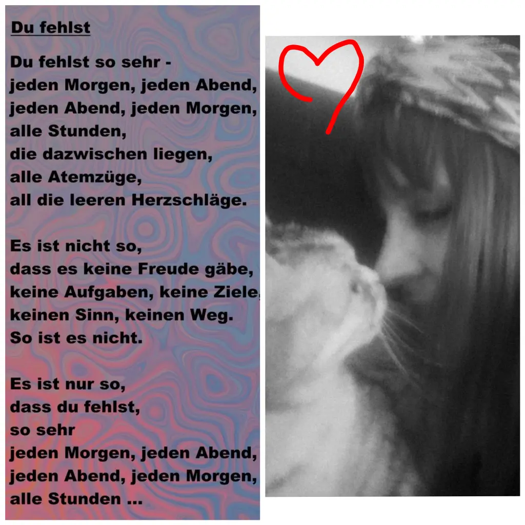 Condolence image of Silke mit Mia im Herzen ♥️