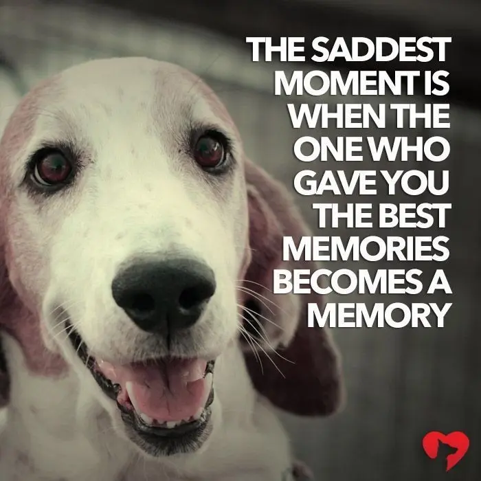 Condolence image of Silke mit Mia im Herzen ♥️