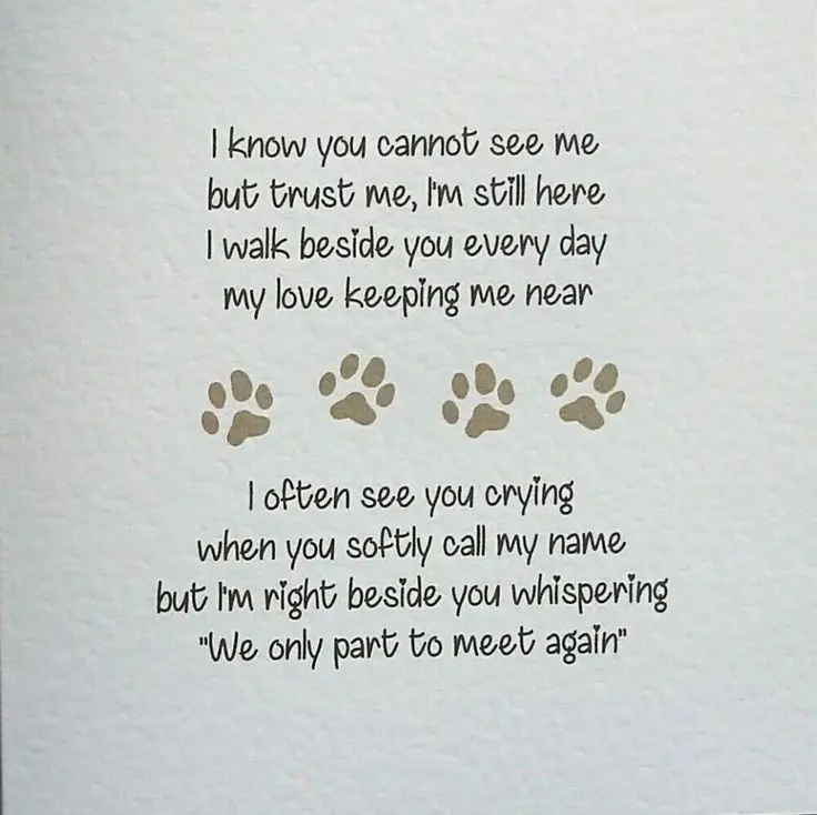 Condolence image of Für Renate